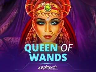 Queen Of Wands icon